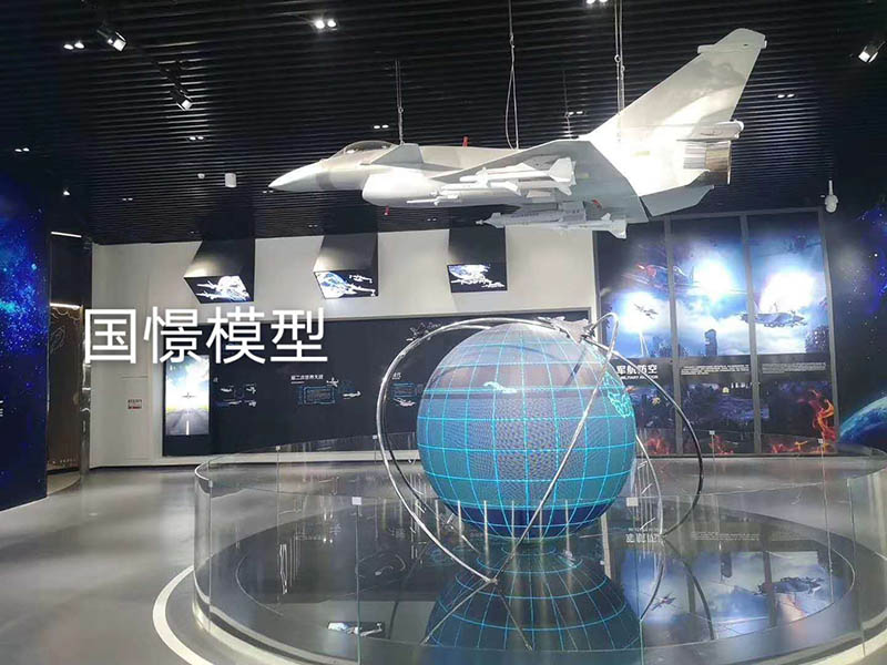 莒南县飞机模型