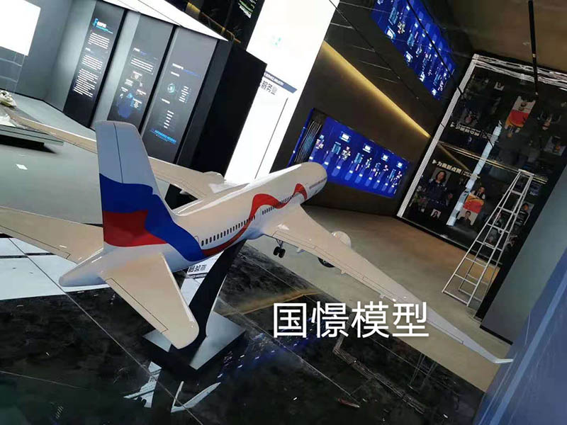 莒南县飞机模型