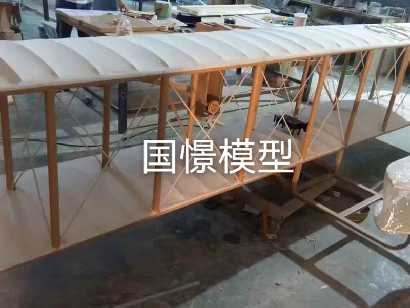莒南县飞机模型