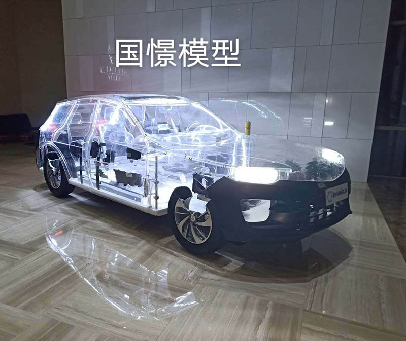 莒南县透明车模型
